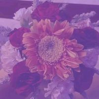 original sound - makie/bebe ni johann