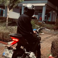 alikocarr_