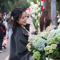 hothisu2004