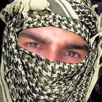 z3immm