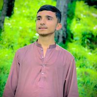 sardarhaseeb043
