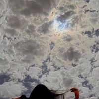 الصوت الأصلي