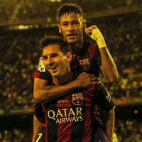 leyner_crack