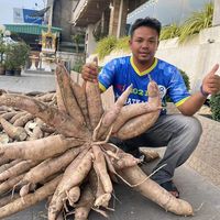 เสียงต้นฉบับ - ລະບົບຜູ້ຈັດການມັນ