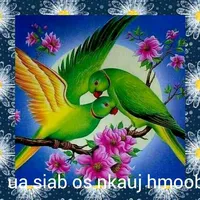 original sound - user837692778