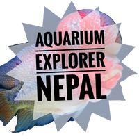 aquariumexplorernepal