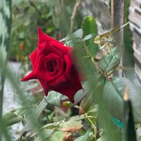 houda8023471