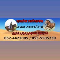 alnayefstablesforhors