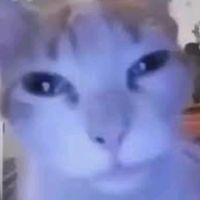 jonas_tiktok01