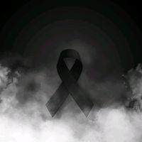 fog_t_
