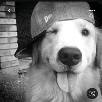 anji____raee