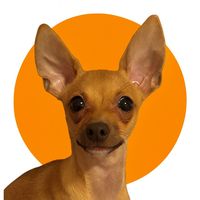 titico._tico