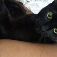 paz.retamozo