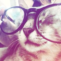 suara asli - three_cees