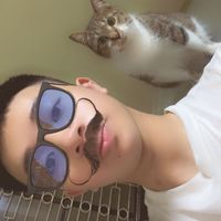 nhạc nền - đần