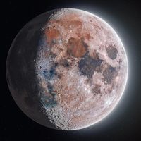 nyu_f