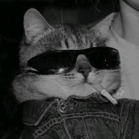 crazy_fypp