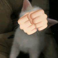 suara asli