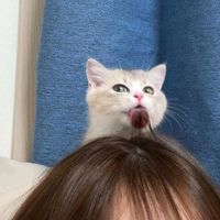 kath_reigna