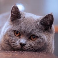 nana_2022_1026