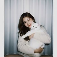 linnaphat61