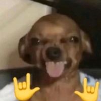 g_y884