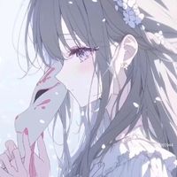 hnn4114