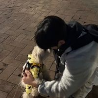 오리지널 사운드 - 승윤