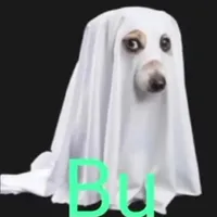 Si Usas Mi Audio Eres Insano