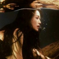 nhạc nền - Dấu Ấn Nghệ Thuật 💿