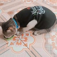 suara asli - si roky & moli