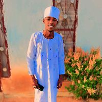 1albrazily