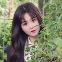 cha75172