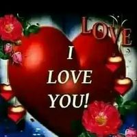 নিজস্ব শব্দ