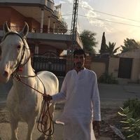 sajidgujjar315