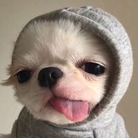 เสียงต้นฉบับ - connee