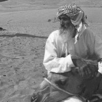 الصوت الأصلي