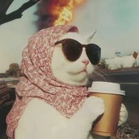 الصوت الأصلي