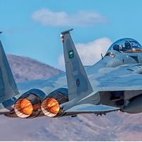 f15sa...0