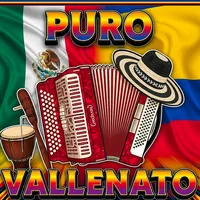 original sound - purovallenato2