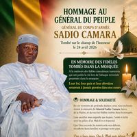 imam.sangare