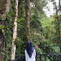 suara asli - yuhuuuuu