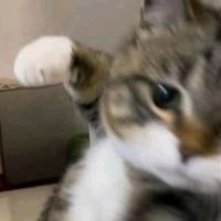 original sound - Titik.