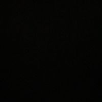 tomer736