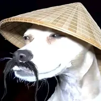 original sound - editzovrl