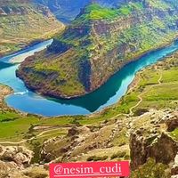 nesim_cudi