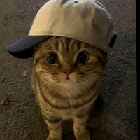 fabx.wz11