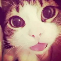 original sound - gigette_