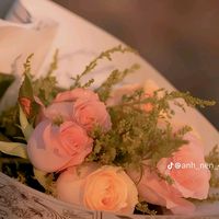 nhạc nền - ❀ Hồng Ý (❁ ́◡`❁)
