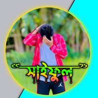 h.m.saiful44